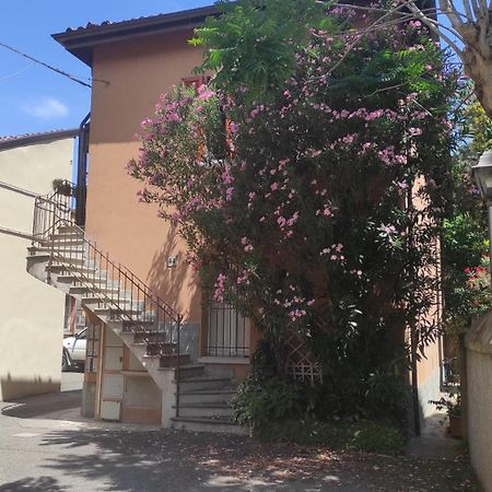 Borghetto 36 Lejlighed Bologna Eksteriør billede